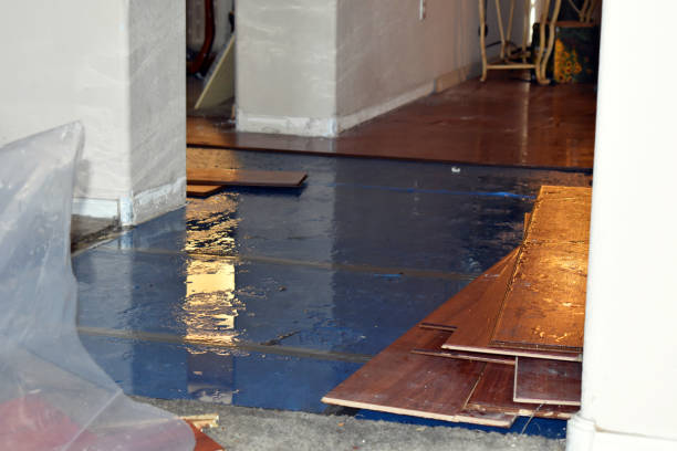 Professional Basement Flood Cleanup technician working in Sinking Spring, OH